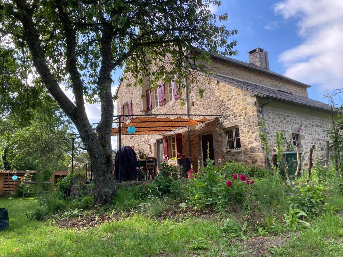 Haute Dône, een vakantiehuis met 2 slaapkamers, rust en natuur Luzy Buitenkant foto