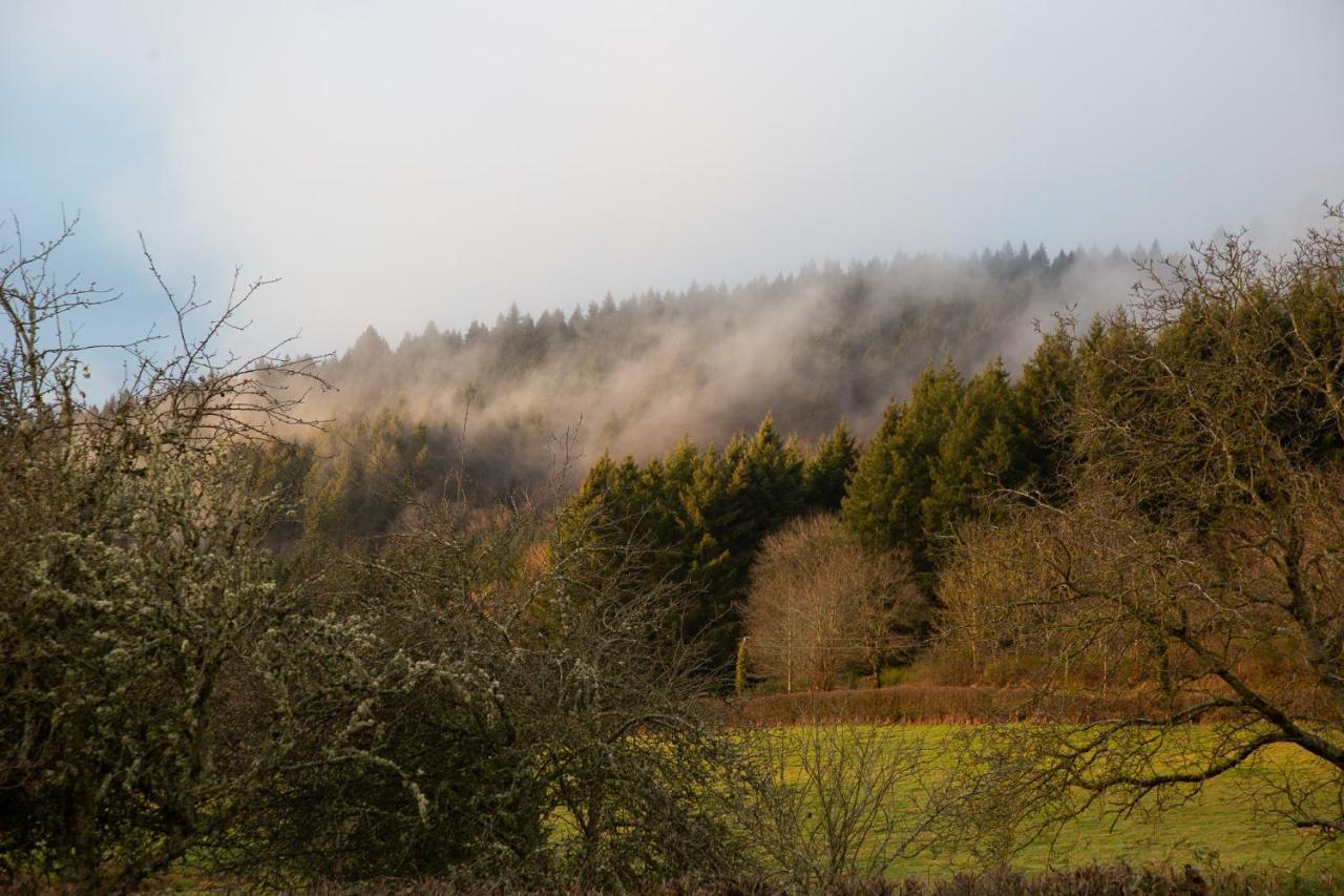 Haute Dône, een vakantiehuis met 2 slaapkamers, rust en natuur Luzy Buitenkant foto