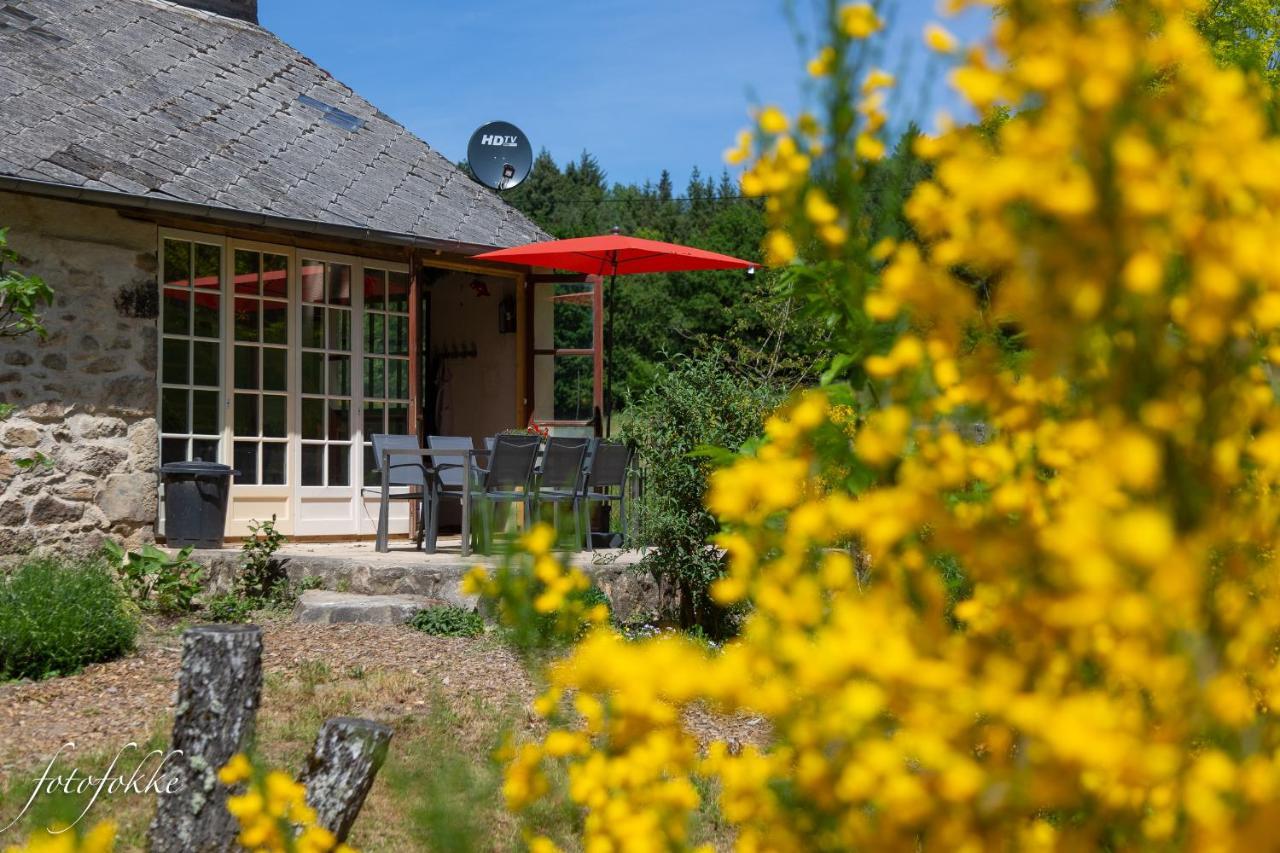 Haute Dône, een vakantiehuis met 2 slaapkamers, rust en natuur Luzy Buitenkant foto